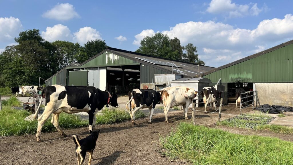 Beoogde opweklocatie in Helvoirt